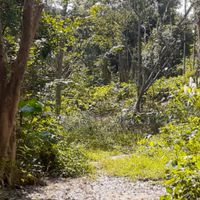 美食 運動 休閒娛樂的園地
