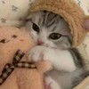ฅ⁠^⁠•⁠ﻌ⁠•⁠^⁠ฅ 咪咪小學 (⁠^⁠.⁠_⁠.⁠^⁠)⁠ﾉ