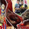 ซุ้ม เพชรสองตอ เชียงใหม่