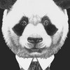 熊貓甘苦談