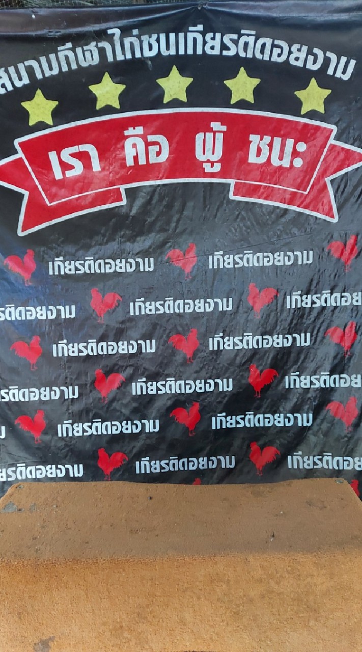 สนามไก่ชนเกียรติดอยงาม
