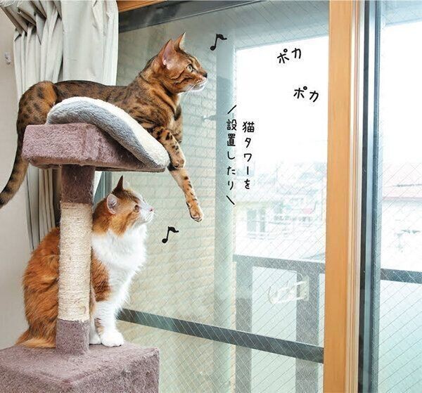 お兄ちゃんだって甘えたい 甘えに来る猫がかわいい
