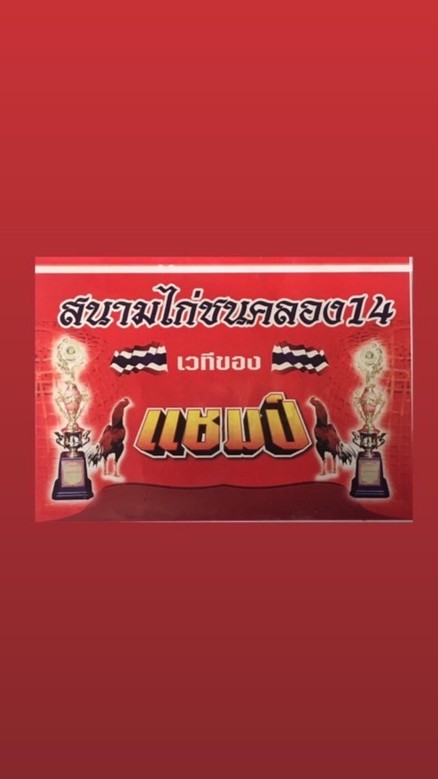 สนามชนไก่คลอง14