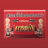 สนามชนไก่คลอง14