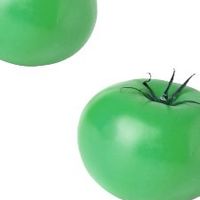 tomat00.co 🍅