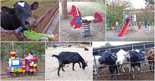 【彰化旅遊】日月山景休閒農場-免門票也可以近距離餵牛