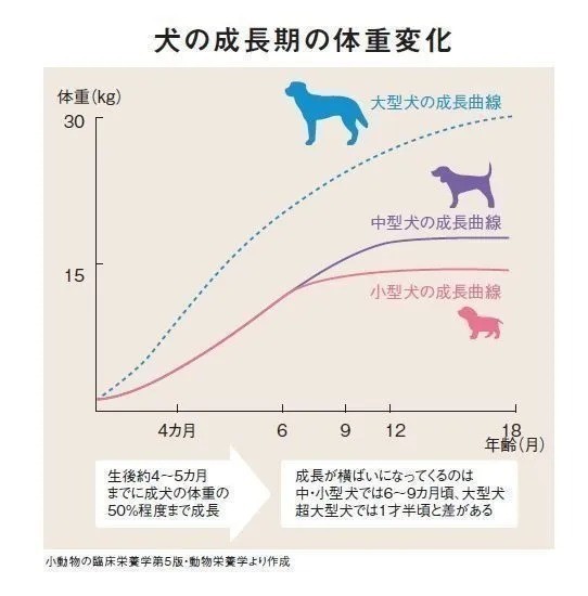 犬の体の消化吸収の仕組みや成長・体調管理のポイント（いぬのきもちNEWS）