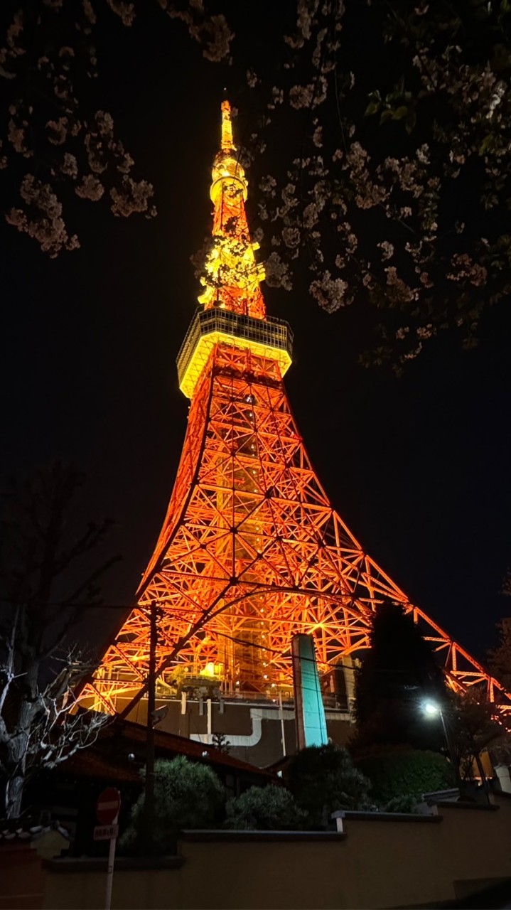 咕蒂圓圓日本團購