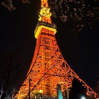 咕蒂圓圓日本團購