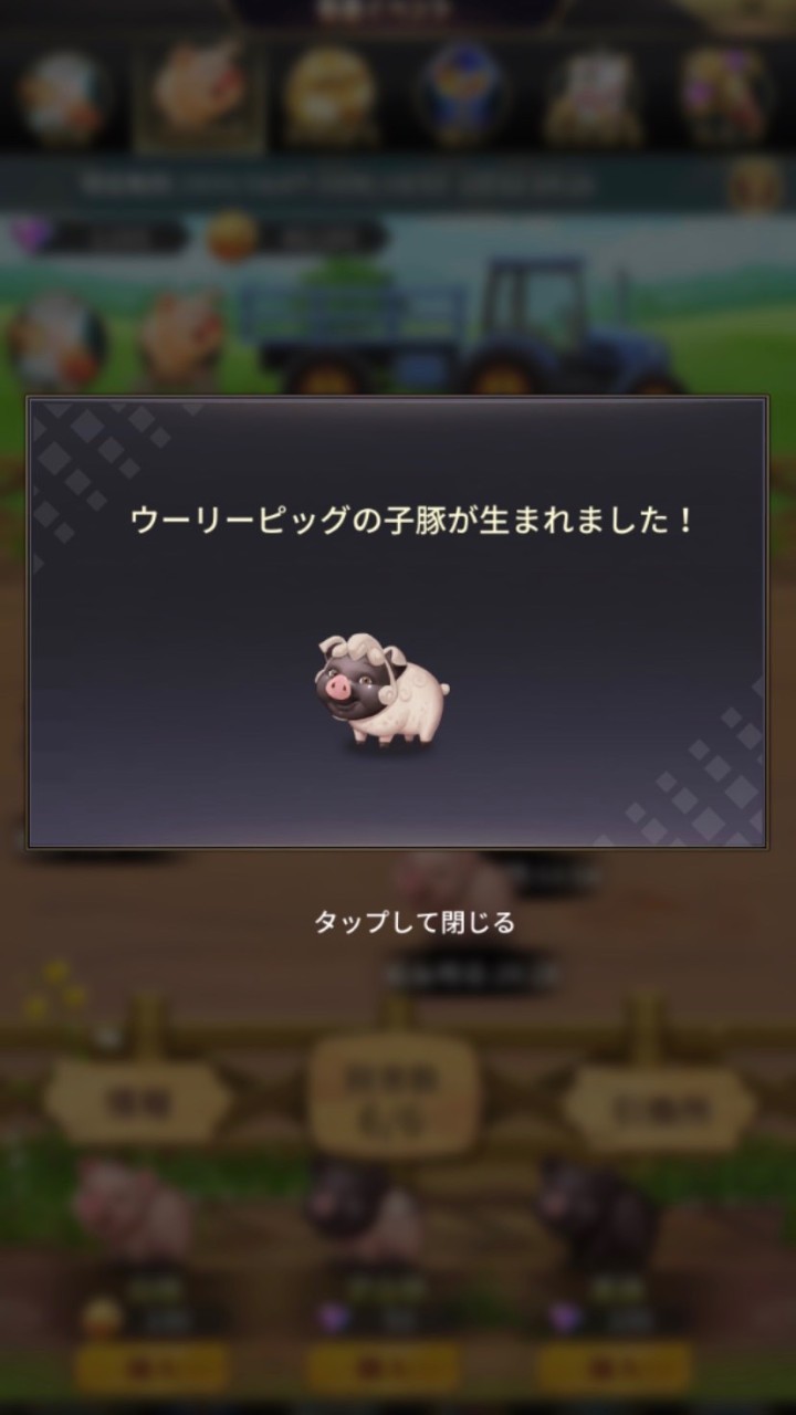 ウリルリ s40