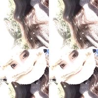 賣場群🎀