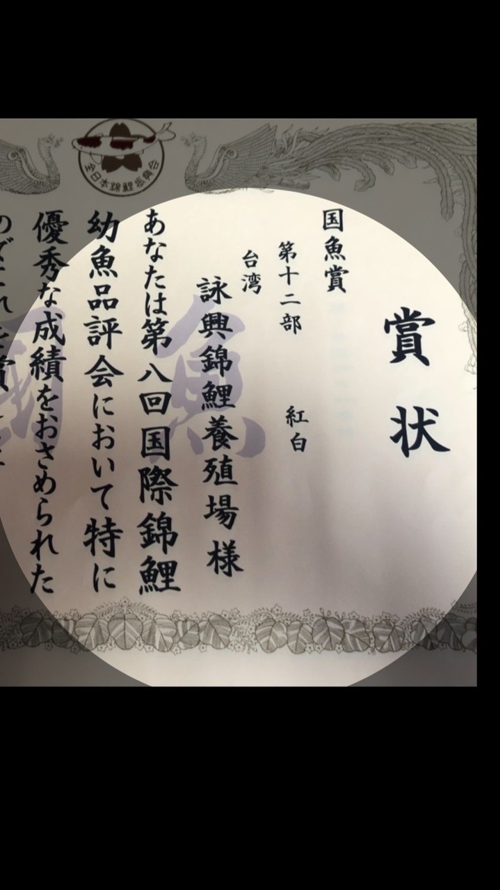 詠興錦鯉俱樂部