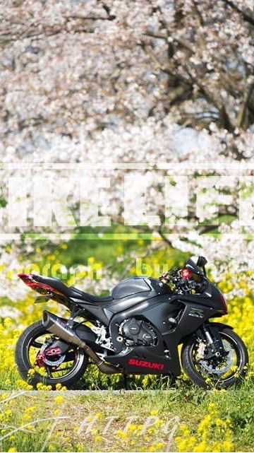 BIKE LIFE★LINE Open chat