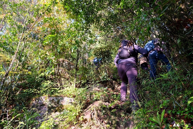 山女孩Melissa_羅馬縱走_羅葉尾山_馬武佐野郡山0650.JPG