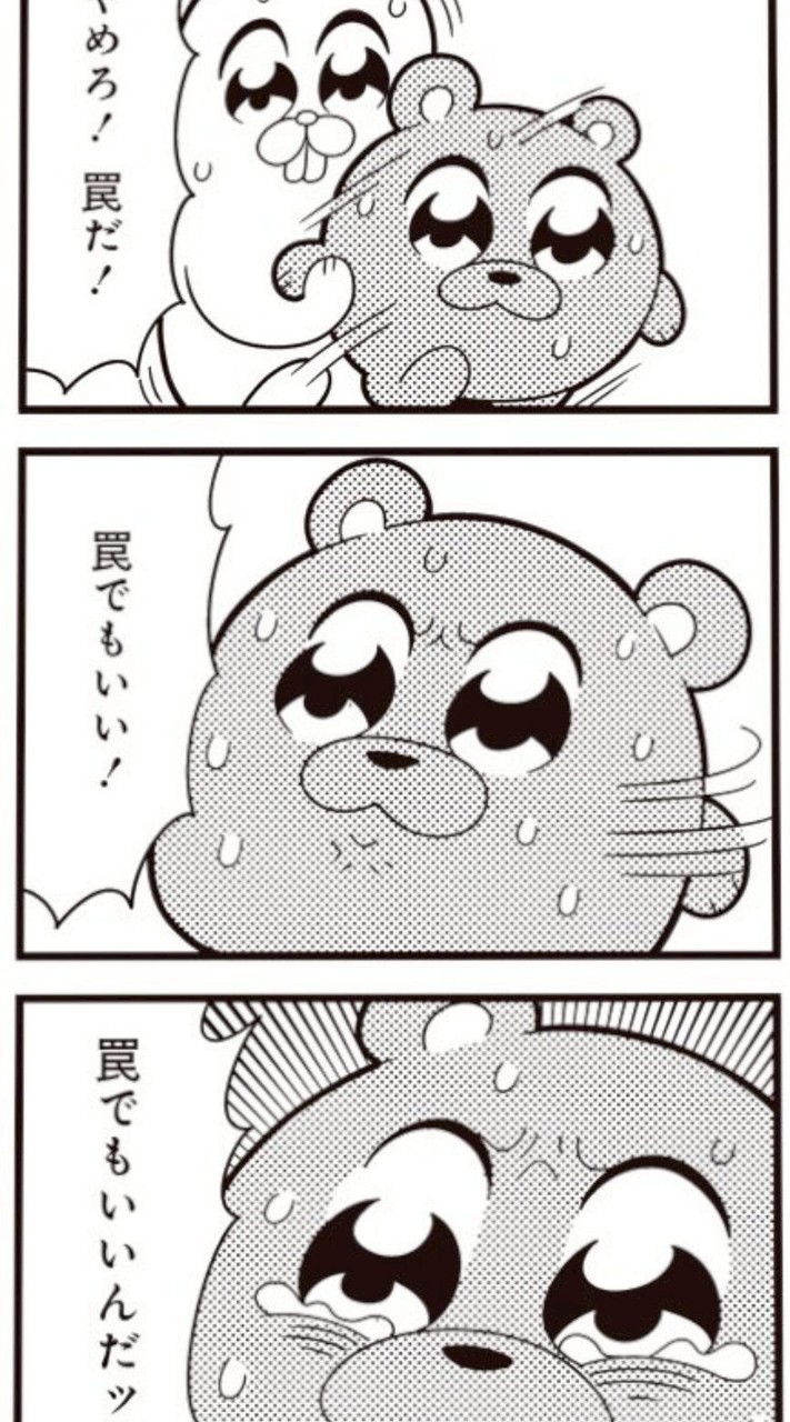 法オプ