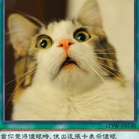 低調大聲
