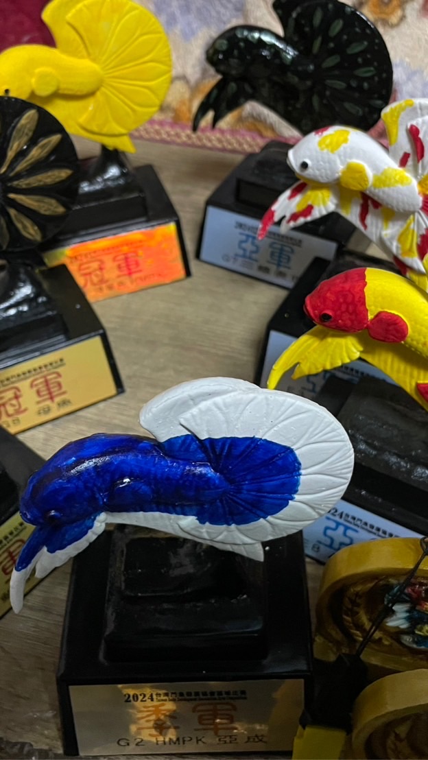 泰夯精品水鬥比賽戰鬥劍
