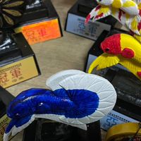 泰夯精品水鬥比賽戰鬥劍