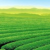 香川牟礼回復ミーティング