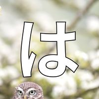 グレーゾーンを語ろう！