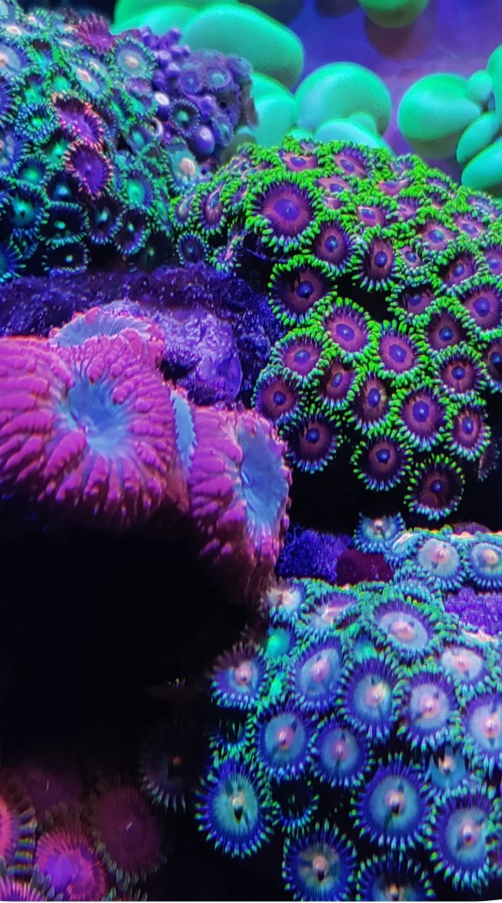 nano tank