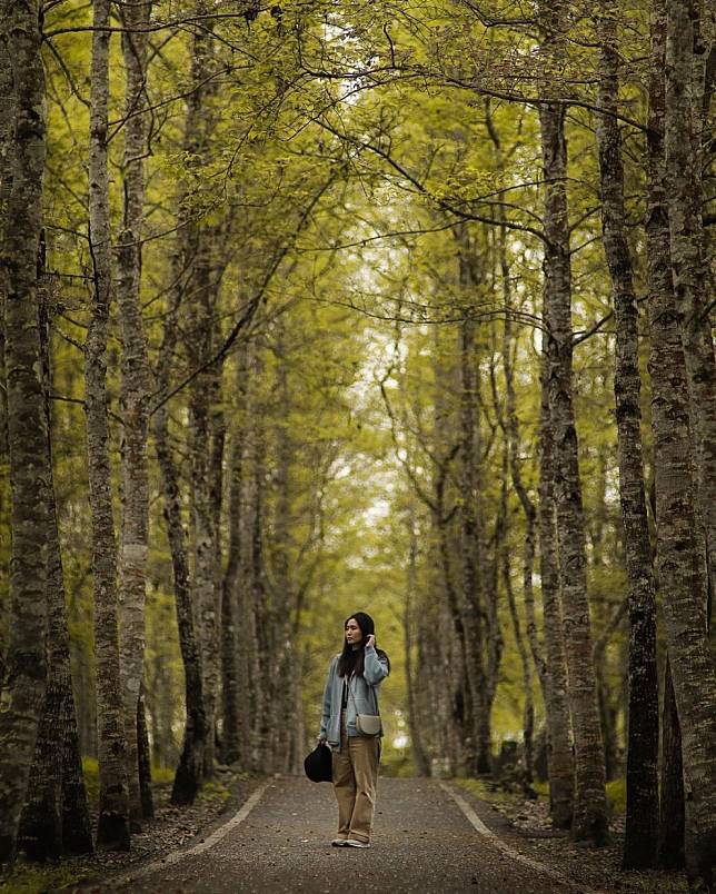 ▲花蓮大農大富平地森林園區。（圖/IG @ __yoe__)