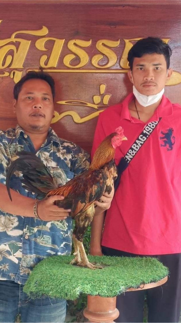 ซุ้ม ส.สหาย รางยอม