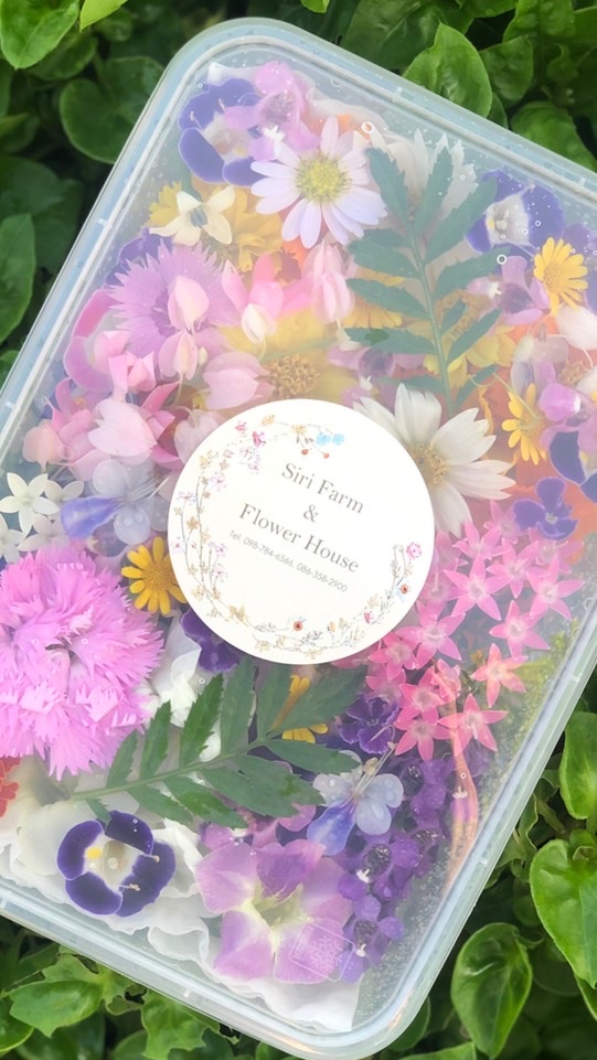 Siri Farm & Flower House