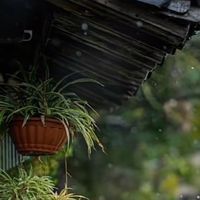 元辰宮 導讀練習營