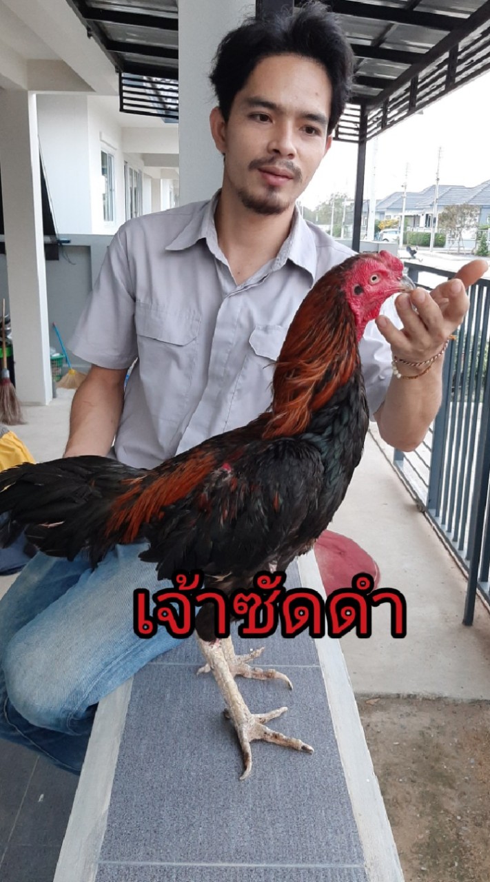 ซุ้ม เพชรนรินทร์ พม่าพัฒนา