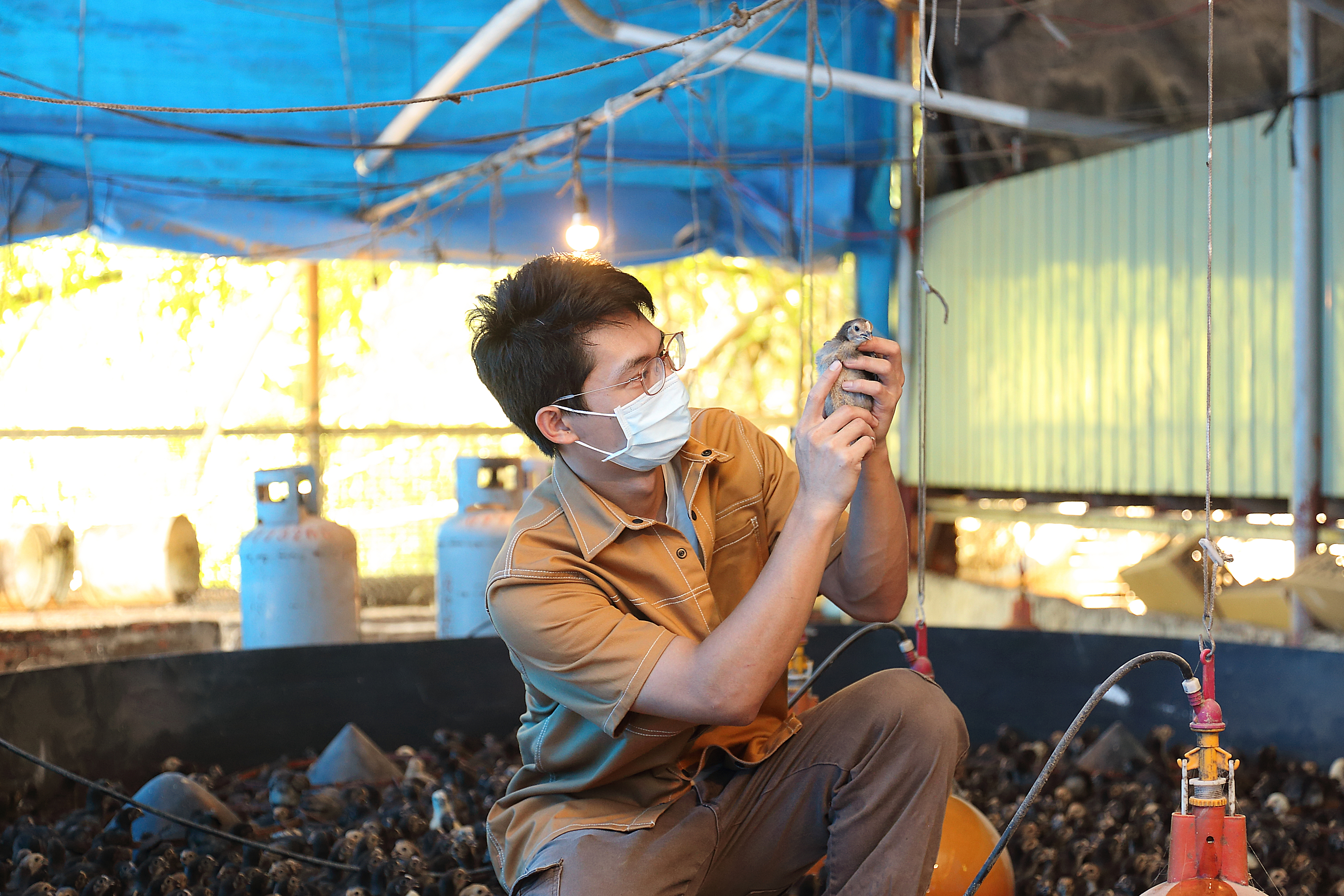 型農走出傳統經驗法則，讓「養雞」到販售的流程，都能精確合宜並以數據化管理。（攝影/Carter）