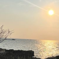 中壢服務中心福利報報