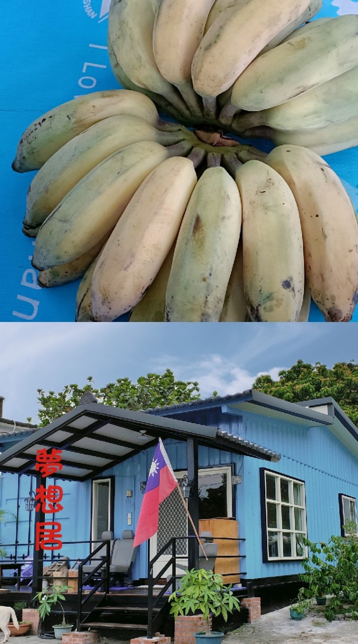 夢想居