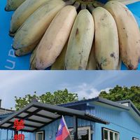 夢想居