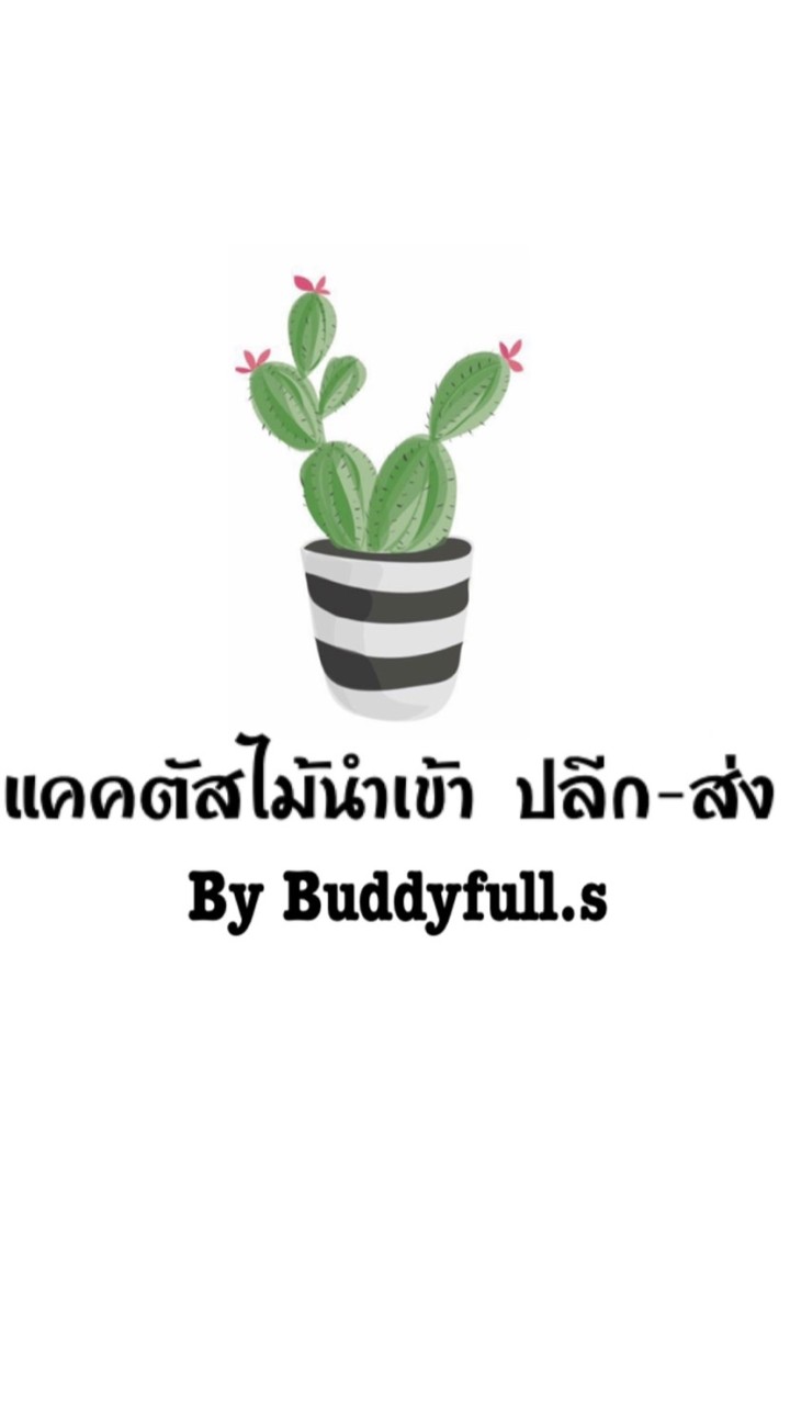 แคคตัสไม้นำเข้า Buddyfull.s Custus