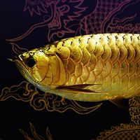 台中水族、器材、活體、交流