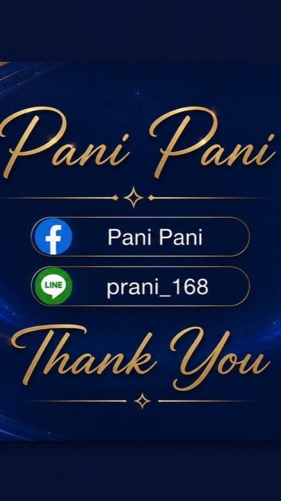 PANI Phone