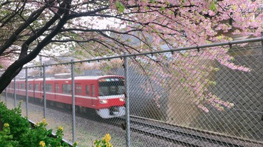 【東京自由行】經濟實惠的葉山女子旅套票！玩出專屬自己的一日東京近郊旅行