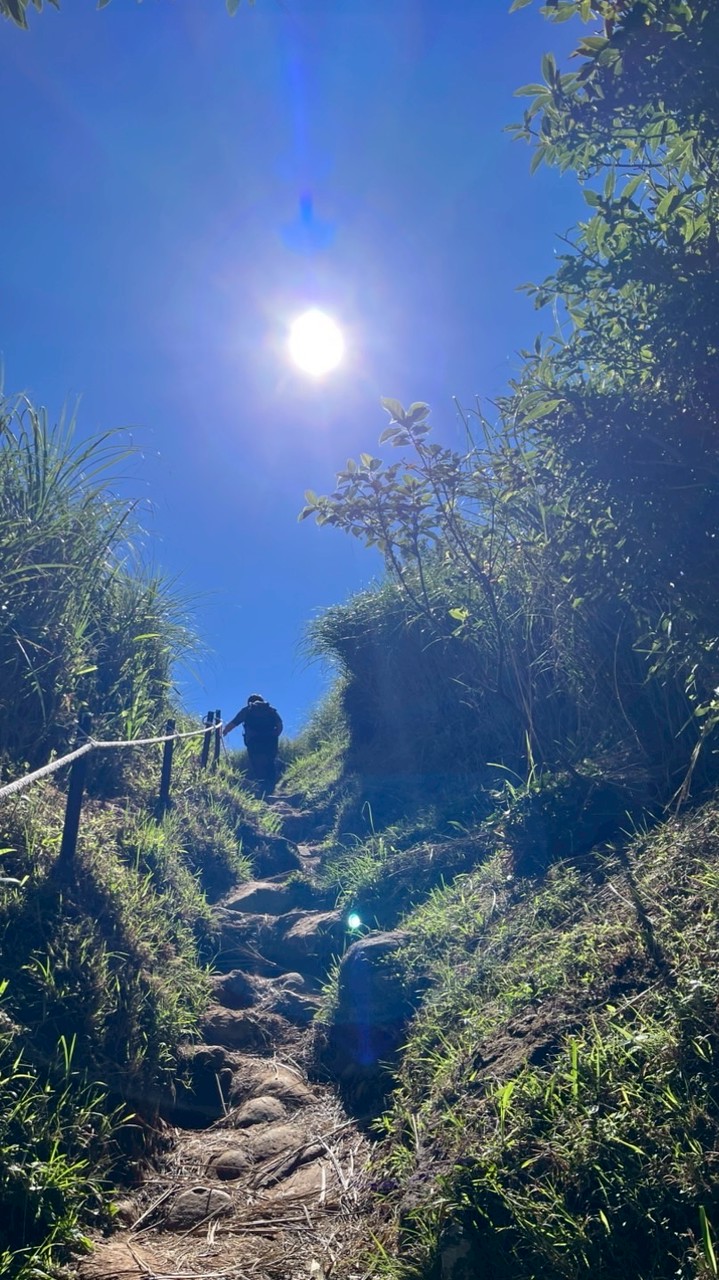 小企鵝滑倒登山社