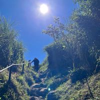 小企鵝滑倒登山社