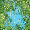 50～60+管他的 先來杯咖啡