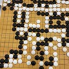 115中興大學圍棋新生群