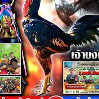 อภิวัฒน์ฟาร์มโคราช