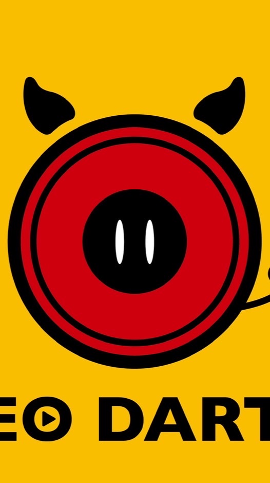 LeoDartsTv