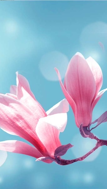 📱関東モバイルアカデミー