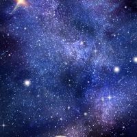 寂しく愛おしく癒してくれる場所へ