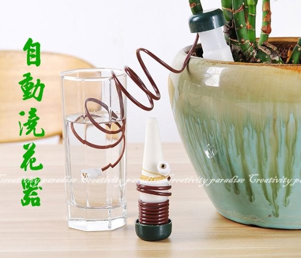 【自動澆花器】2入裝 創意園藝花卉盆栽自動澆水器 多肉植物懶人滴水器