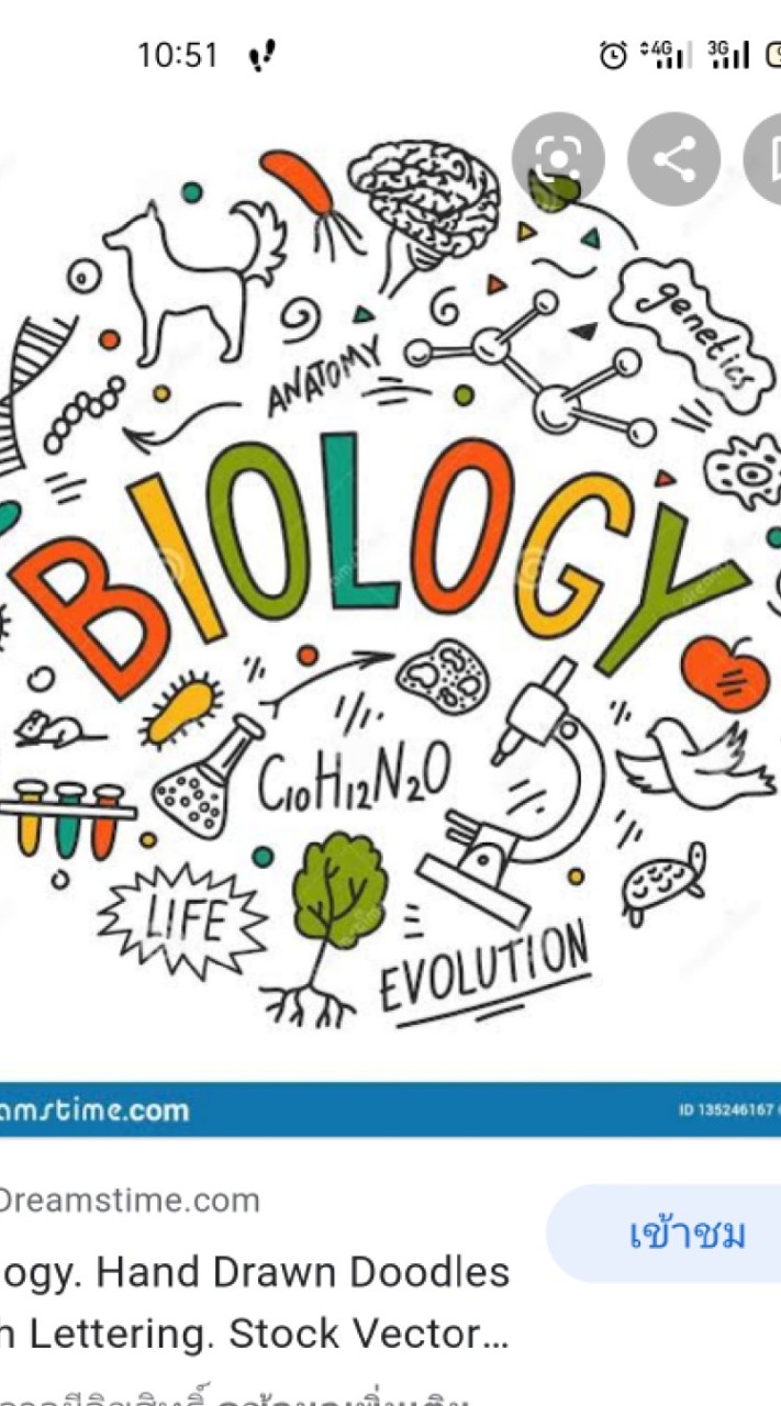BioM.6HRN