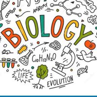 BioM.6HRN
