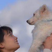 ヒワラー
